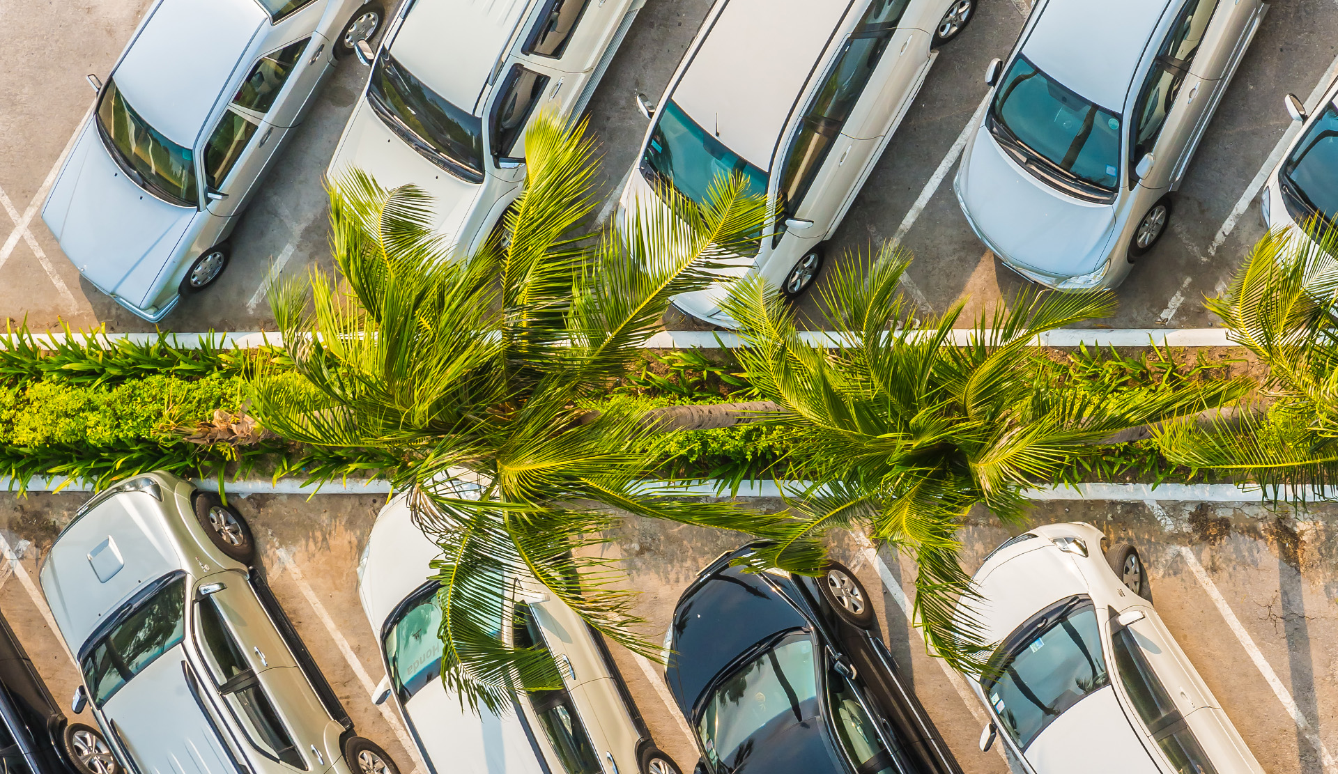 OUR FLEET - Deinn Car Rental